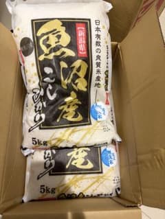新潟県産 魚沼こしひかり 無洗米 5kg×2袋 【エコメルカリ便限定 