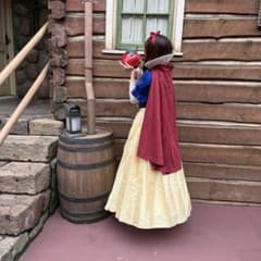 【︎︎☁様専用Dハロ】白雪姫 コスプレ 仮装 ドレスのサムネイル