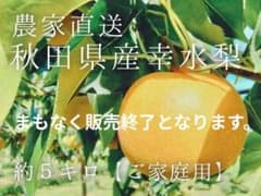 (10玉〜13玉サイズ幸水梨)約10kgご家庭用★送料込★秋田県産のサムネイル