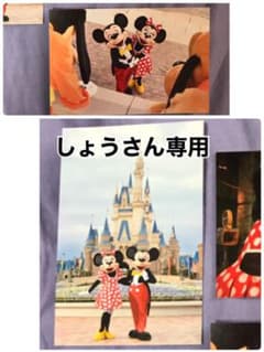 しょうさん専用 ディズニーポストカードのサムネイル