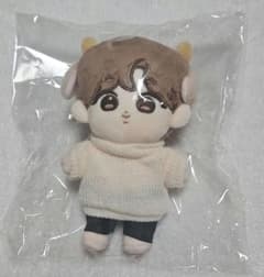 BTS ジン JIN ぬいぐるみ マスター 約18cm - メルカリ