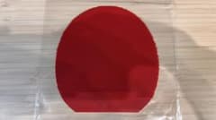 粒高 フレンドシップ729 友誼 心伝837 赤38度1.0のサムネイル