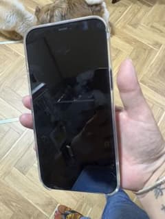iPhone 12 Pro Max 256GB 블루 83% 미품