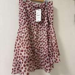 ZARA ラズベリー柄 ミニスカートのサムネイル