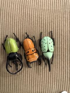 昆虫 フィギュア 3体セット カブトムシ クワガタのサムネイル