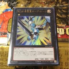 No.39 希望皇ホープ・ルーツのサムネイル