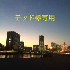 迷彩コートのサムネイル