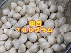 佐賀県産 天然銀杏 700グラム 令和6年産 無農薬のサムネイル