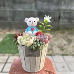 ♡そのまま飾れる♡くまちゃんの可愛い多肉植物寄せ植え