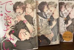 甘くて熱くて息もできない 1巻・2巻 蜂巣のサムネイル