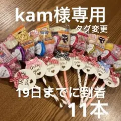 kam様専用11本