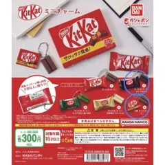 KitKat ミニチュアチャーム 2個セット