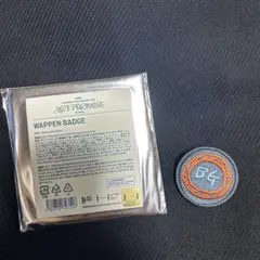 Item thumbnail for item 88989e55-1849-46b5-aa47-5b5beae8b8c4