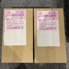 【未開封シュリンク付き】スペシャルBOX　ポケモンセンターヒロシマ 2BOX