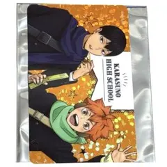 ハイキュー よこはまコスモワールド ホログラムカード 烏野 日向 影山