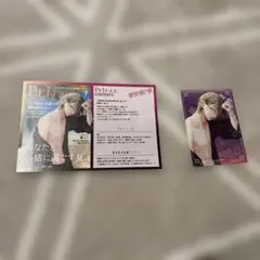 野良猫と狼