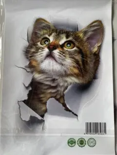 【未使用　自宅保管品】立体 3D 猫ステッカー　防水　インテリアステッカー