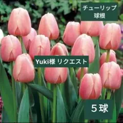 Yuki様 リクエスト 2点 まとめ商品