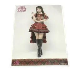 AKB48 向井地美音 武道館 20周年記念 赤チェック衣装 生写真