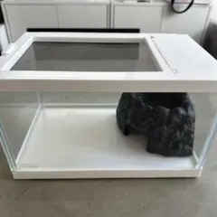 Item thumbnail for item 55350ebf-6993-4daf-9fb8-91c5c5916b11