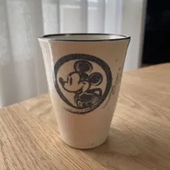 東京ディズニーリゾート ミッキー 食器