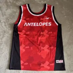 Item thumbnail for item eaf679a3-e194-4a17-8409-bf9f2eaa0c8d