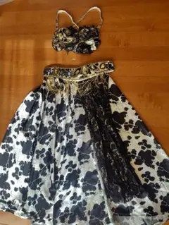 ベリーダンス セットアップ