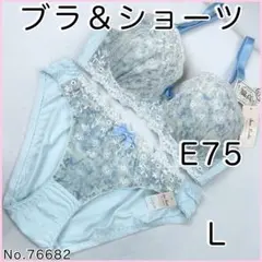 ブラジャーショーツセットE75 No.76682