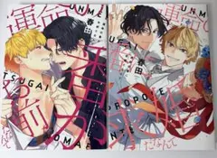 K様 リクエスト 2点 まとめ商品