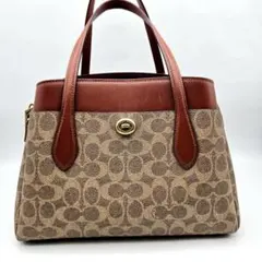 2025年最新】ローラキャリーオールcoachの人気アイテム - メルカリ