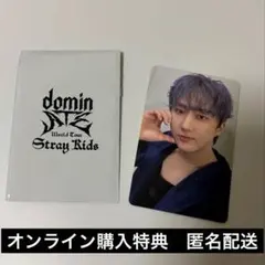 チャンビン　トレカ　dominate スキズ　StrayKids 購入者特典
