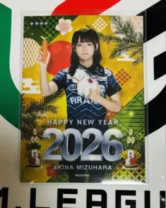 Yuichiro様 リクエスト 2点 まとめ商品