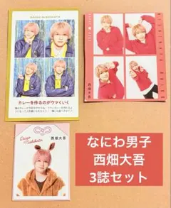 なにわ男子　西畑大吾　ミニ切り抜き　テレビガイドTV お守り証明写真