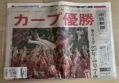 カープ優勝 2016年特別セット
