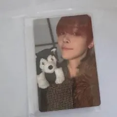 &TEAM 雪明かり yukiakari ソロジャケ 封入 トレカ ニコラス