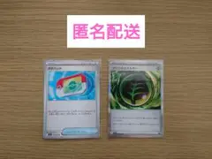 ポケモンカード　ムニキスゼロ　ポケパッド　グロウ草エネルギー