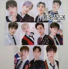 SEVENTEEN POWER OF LOVE DVD 公式トレカセットコンプ2