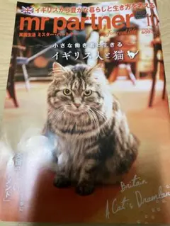 ミスターパートナー　イギリス人と猫　2025年秋発売