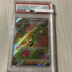 PSA10ポケモンカード ナタネの活気