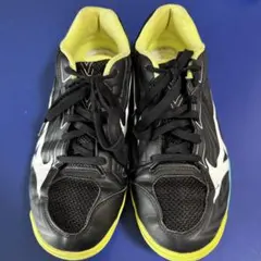 [ミズノ]卓球シューズウェーブカイザーブルク8 28.5cm 3E