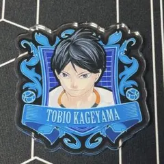 ハイキュー‼︎ ハイキュー アクリルバッジコレクション 影山飛雄