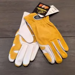 Item thumbnail for item ec31eacf-7027-4c85-946c-46a5a2b7ed1f