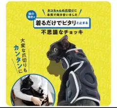 Item thumbnail for item 7eed0295-73fc-4236-b42f-245394ccd8b1