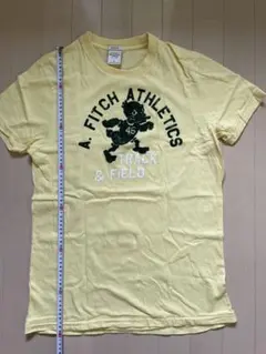 タ*ロ様 Abercrombie & Fitch Tシャツ Lサイズ