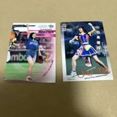 Item thumbnail for item 3b627a2d-6d02-4c84-b793-0300e3ed7030