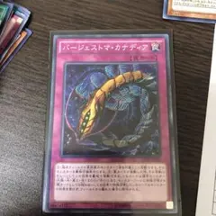 バージェストマ・カナディア PHRA-JP073