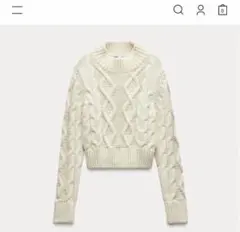 ZARAニット オープンバックケーブルニットセーター