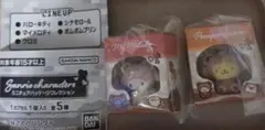サンリオミニチュアパッケージコレクション(マイメロディ、ポムポムプリン)