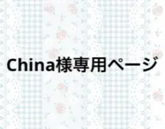 China様専用ページ