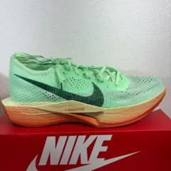 28cm Nike Vaporfly 3 HJ7040-300